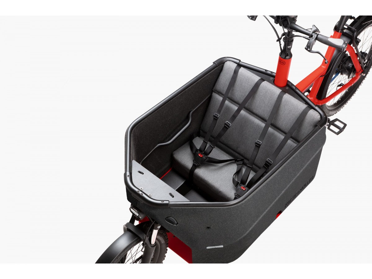 Bicicleta elèctrica de càrrega Riese & Müller Packster 70